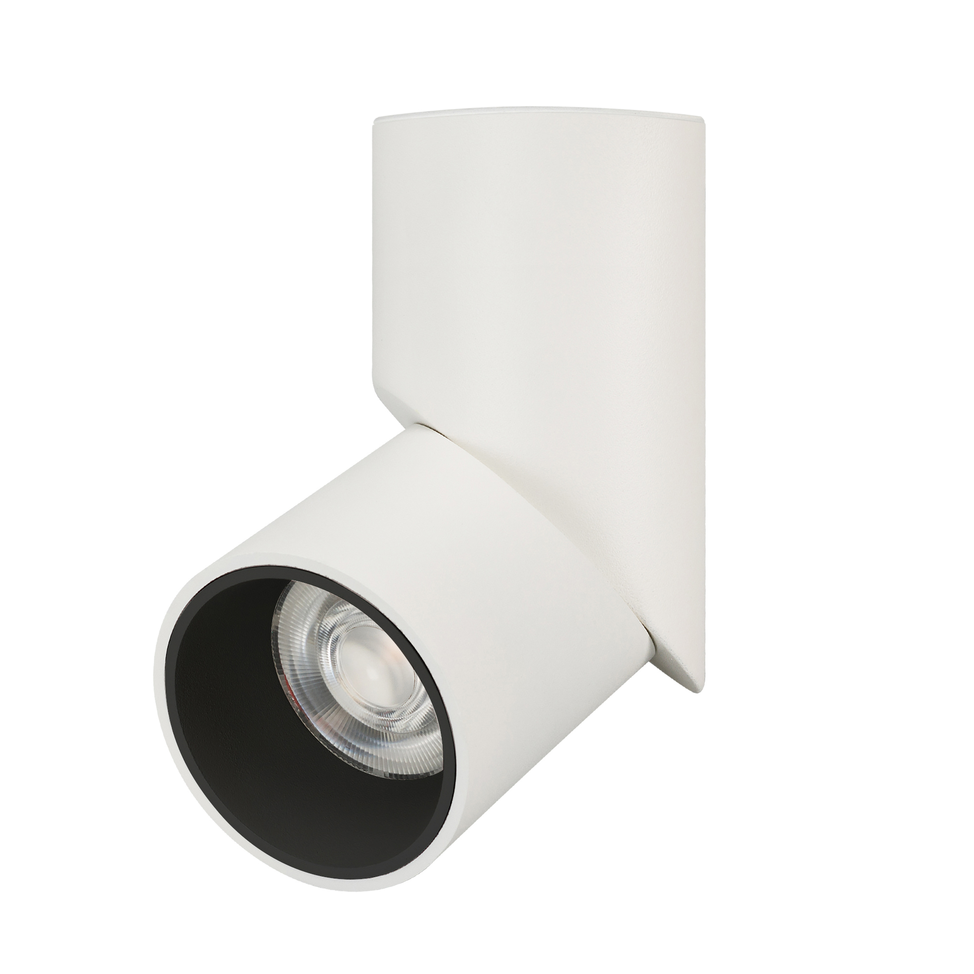 Светильник SP-TWIST-SURFACE-R70-12W Day4000 (WH-BK, 30 deg) 025453(1)