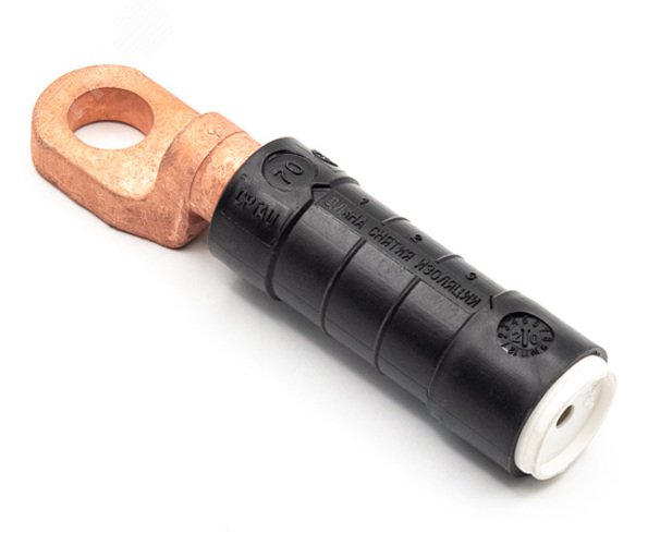 Наконечник изолированный CPTAU 70 21800961