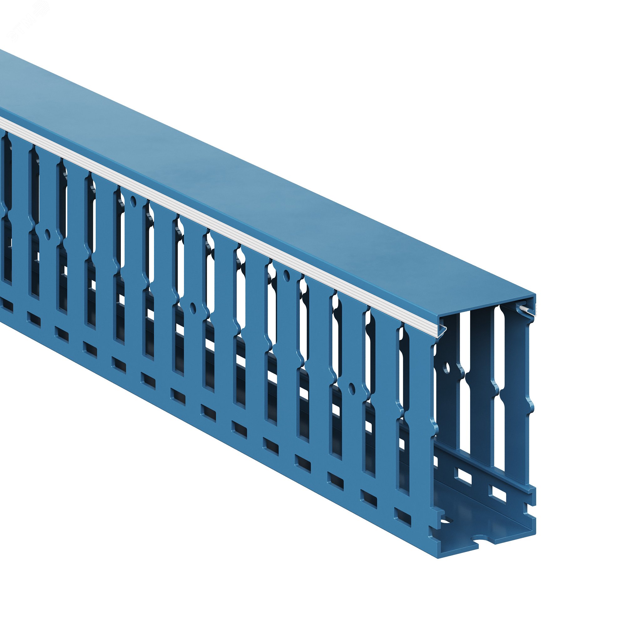 Короб перфорированный, синий RL12 40x80 01160RL