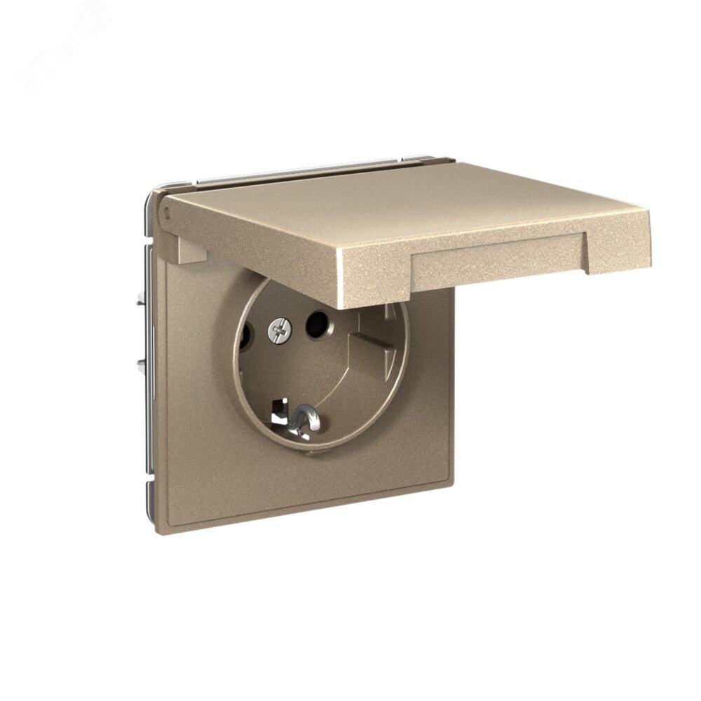 Фото товара ARTGALLERY РОЗЕТКА с заземл. со шторк. с крышк., 16А, IP20,  механизм, быстрозажимные клеммы, шампань GAL000546S