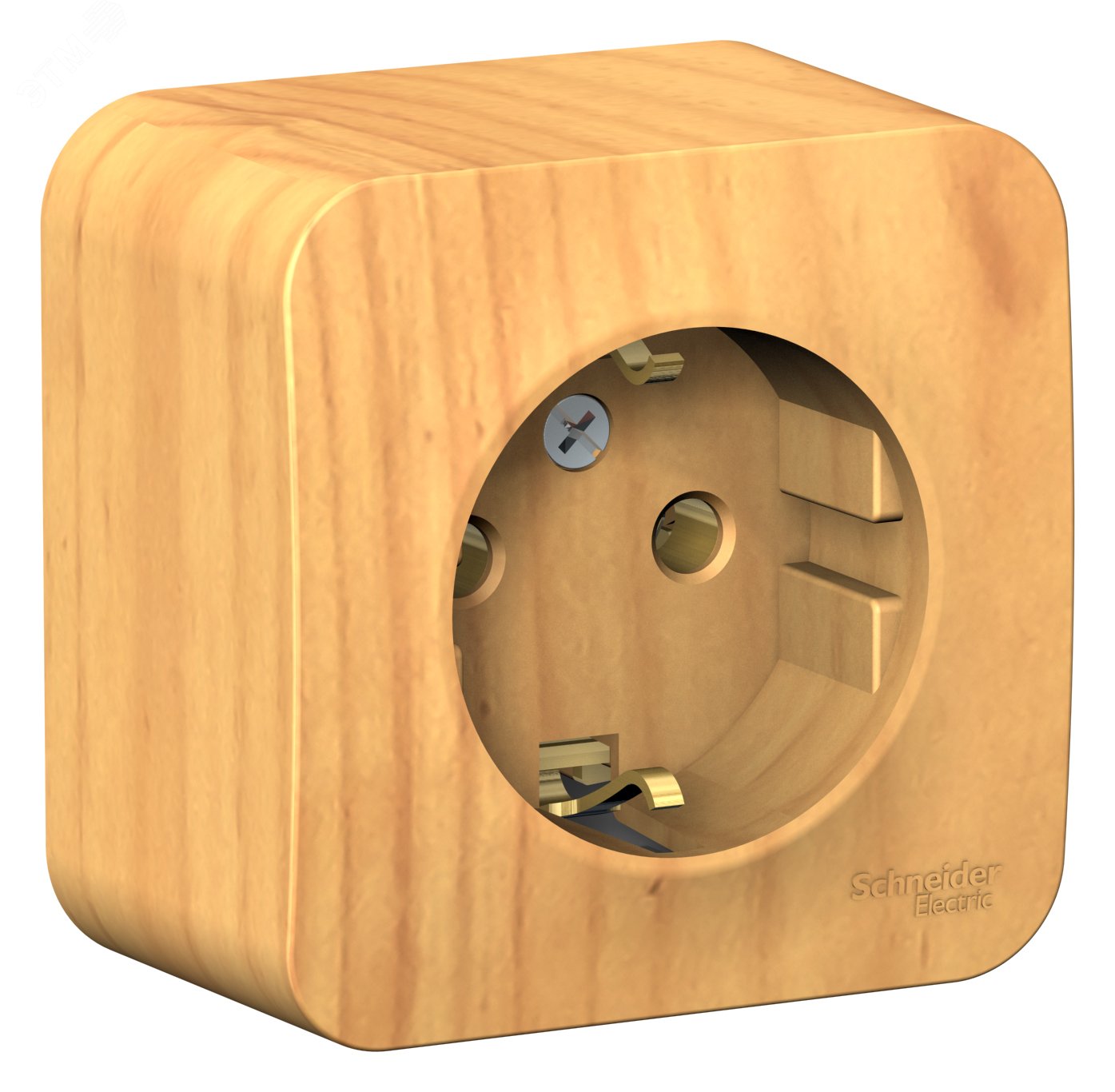 Фото товара Розетка 1-м ОП Blanca 16А IP20 250В с заземл. без защ. шторок с изолир. пластиной ясень SE BLNRA010115