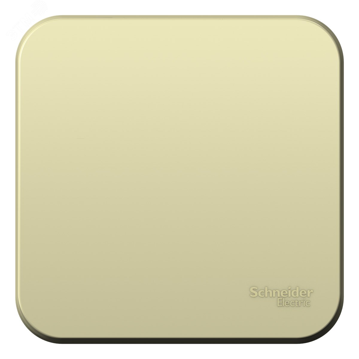 Фото товара Выключатель 1-кл. ОП Blanca 10А IP20 (сх. 1) 250В с изолир. пластиной беж. SE BLNVA101017