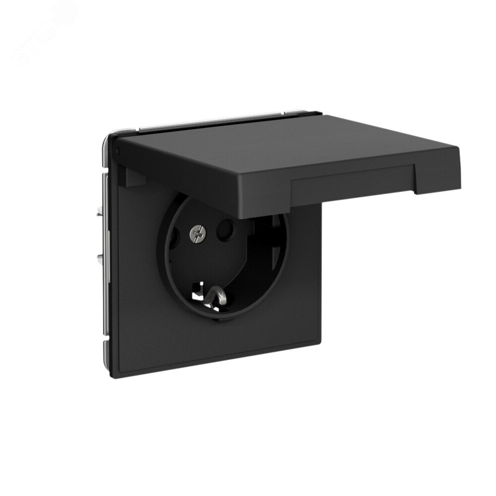 Фото товара ARTGALLERY РОЗЕТКА с заземл. со шторк. с крышк., 16А, IP20,  механизм, быстрозажимные клеммы, карбон GAL001046S