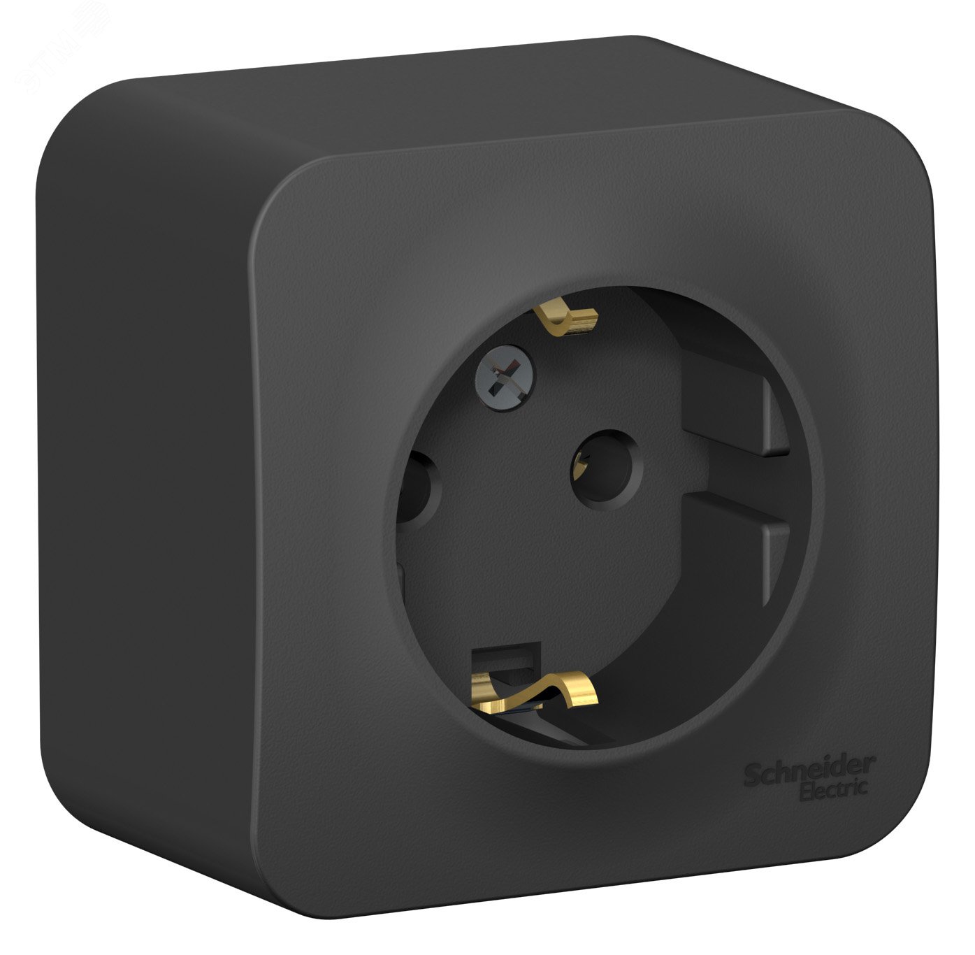Фото товара Розетка 1-м ОП Blanca 16А IP20 250В с заземл. без защ. шторок с изолир. пластиной антрацит SE BLNRA010116