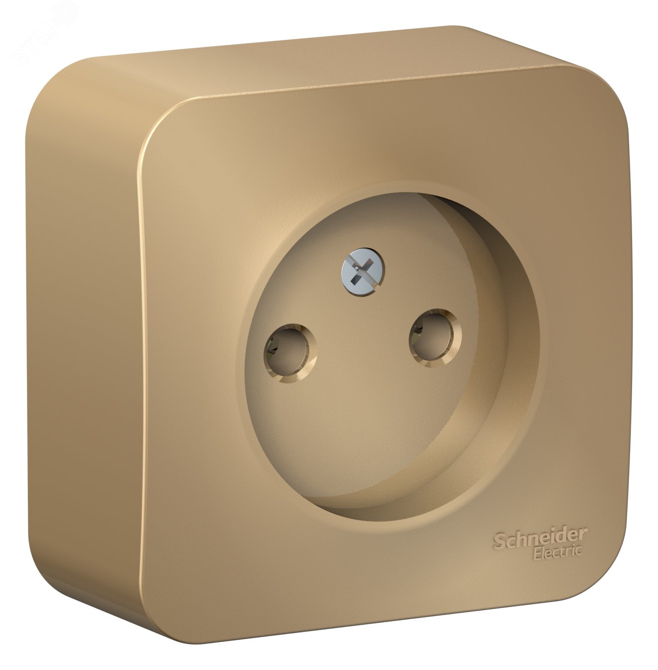 Фото товара Розетка 1-м ОП Blanca 16А IP20 250В без заземл. без защ. шторок с изолир. пластиной титан SE BLNRA000114