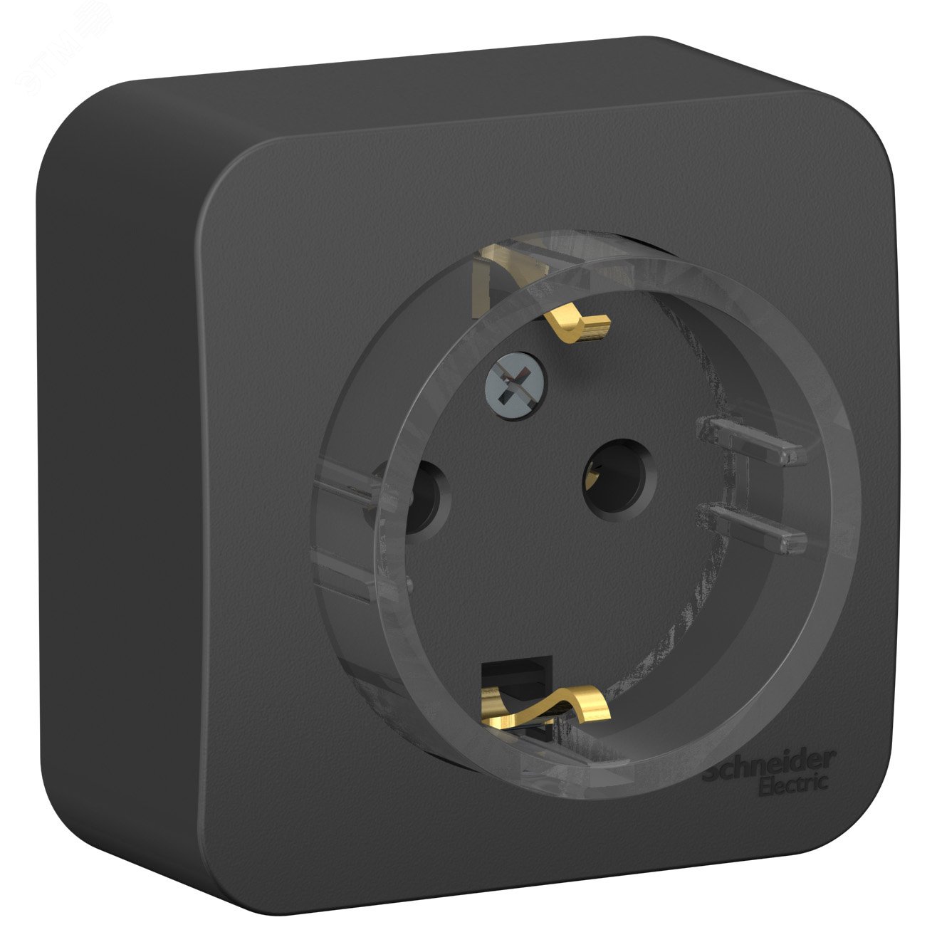 Фото товара Розетка 1-м ОП Blanca 16А IP20 250В с заземл. без защ. шторок с изолир. пластиной (компакт) антрацит SE BLNRA110116