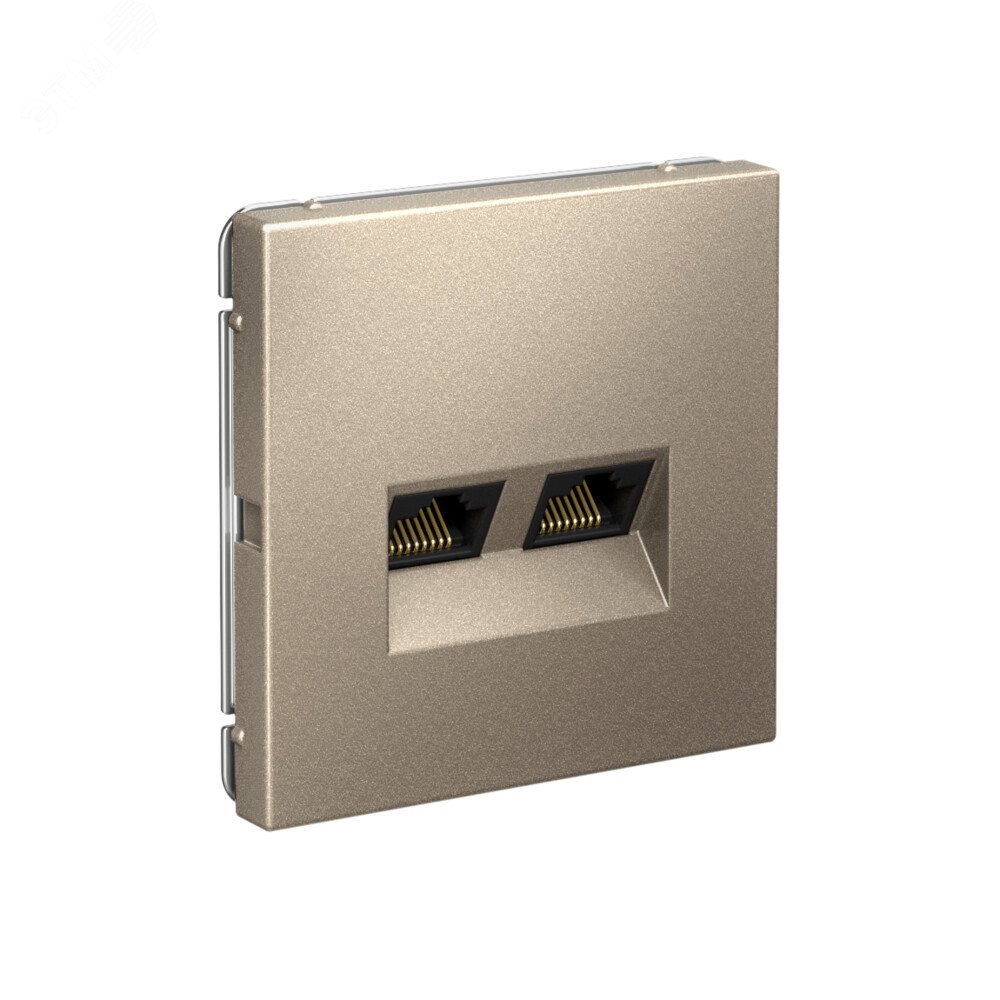 Фото товара ARTGALLERY РОЗЕТКА двойная компьютерная RJ45+RJ45, кат.6А, механизм, ШАМПАНЬ GAL000588