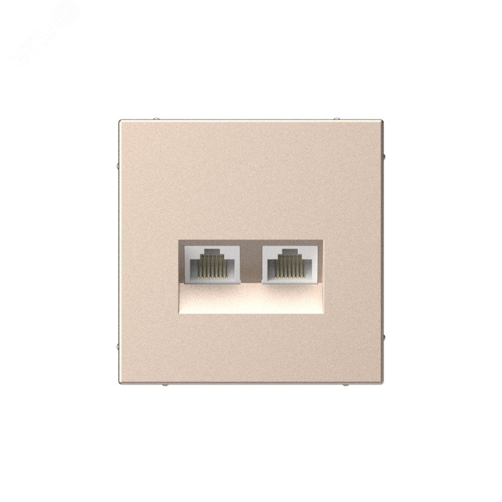 ARTGALLERY РОЗЕТКА двойная компьютерная RJ45+RJ45, кат. 5е, механизм, ПЕСОЧНЫЙ GAL001285