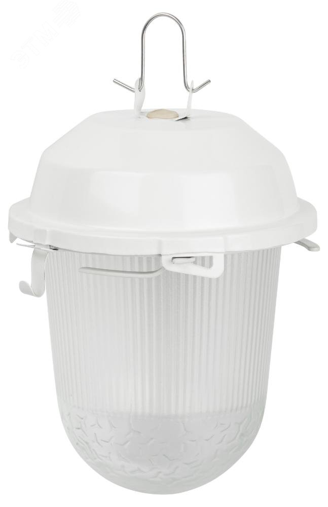 Светильник НСП 02-100-001 без решетки Желудь сталь / стекло IP54 E27 max 100Вт 170х260 белый Б0052017