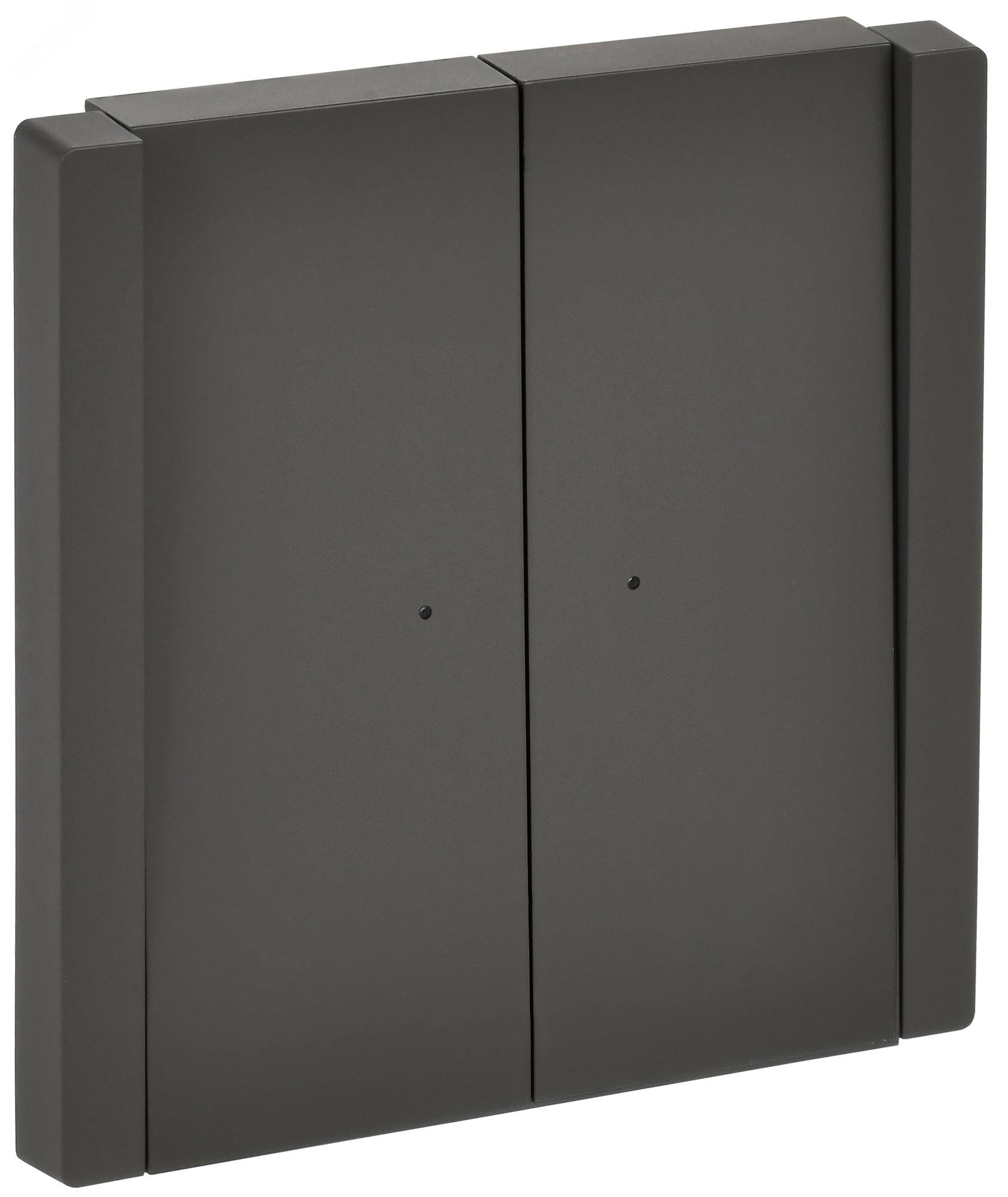 FORTE&PIANO Выключатель 2-клавишный проходной с индикацией 10А FP308 серый IEK FP-V22-1-10-1-K03