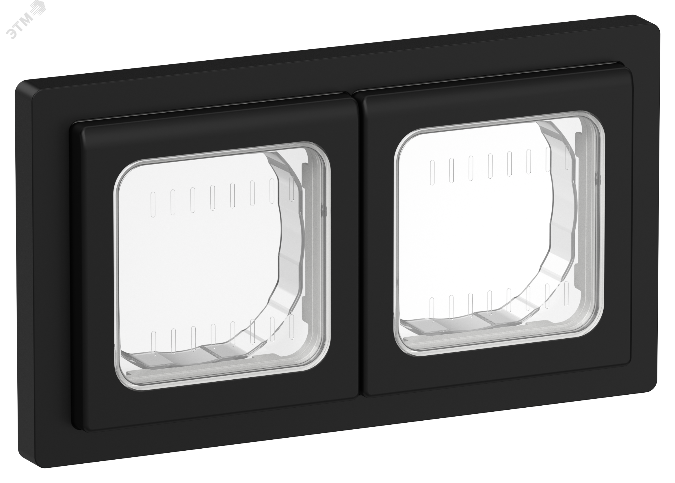 FLITE Рамка 2-местная IP55 Рпро-2-55-ФлЧ черный IEK FI-M20-32-55-K02