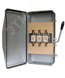 Фото товара Ящик силовой ЯБПВУ-100-ЭК У3, с ПН-2 50А, IP54 ET013020