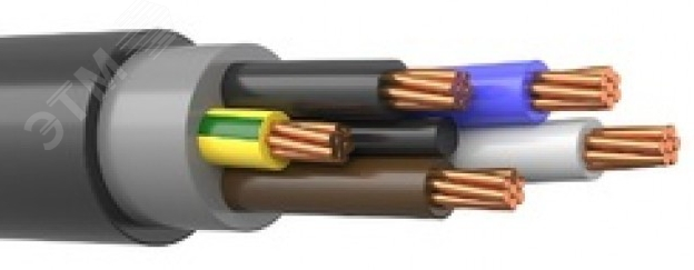 Кабель силовой ППГнг(А)-HF 5х25,0 мк (N,PE) - 0,66 кВ ТРТС 13165