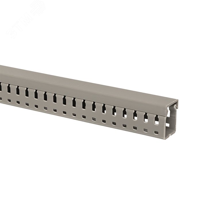 Канал кабельный перфорированный (ВхШ: 30х25мм.) PROxima kk25-25