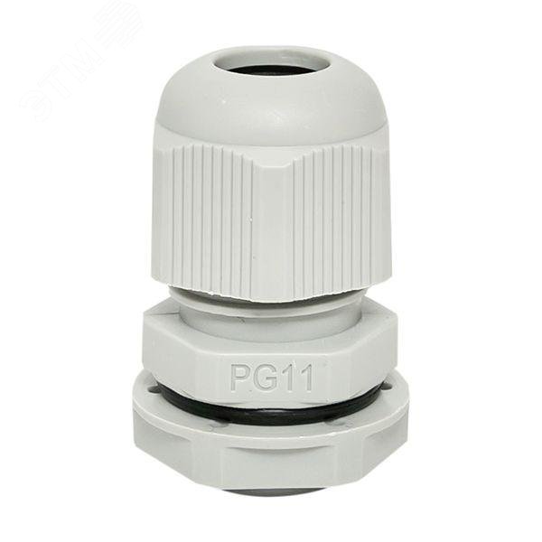 Фото товара Сальник PG11 IP54 d отв. 19мм/d провод. 5-10мм PROxima plc-pg-11-r