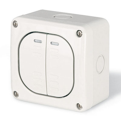 Выключатель однополюсный, двухклавишный, настенный DIS1375022