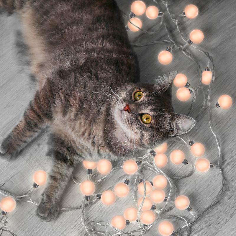 Гирлянда садовая на солнечной батарее 20 LED ламп Большие Шары Белый свет Solar, 1/6 GS034