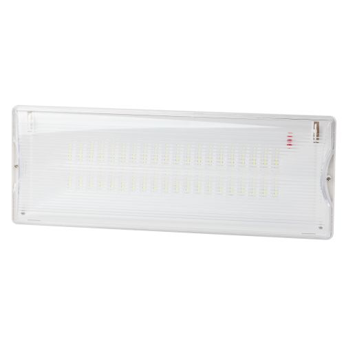 Светильник светодиодный DPA-301-0-65 40LED 3ч IP65 аварийный непостоянный Б0044405