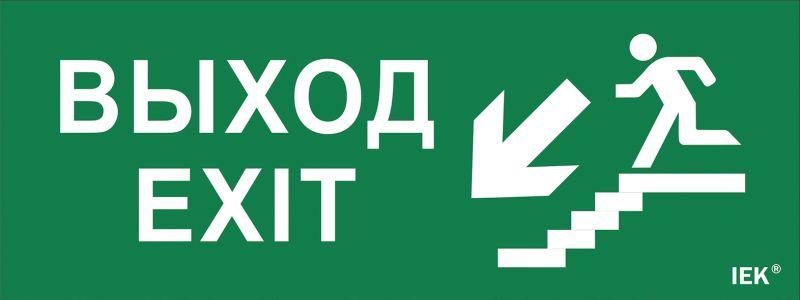 Фото товара Этикетка самокл. 240х90мм "Выход/лест. вниз/фигура" LPC10-1-24-09-VLVNF