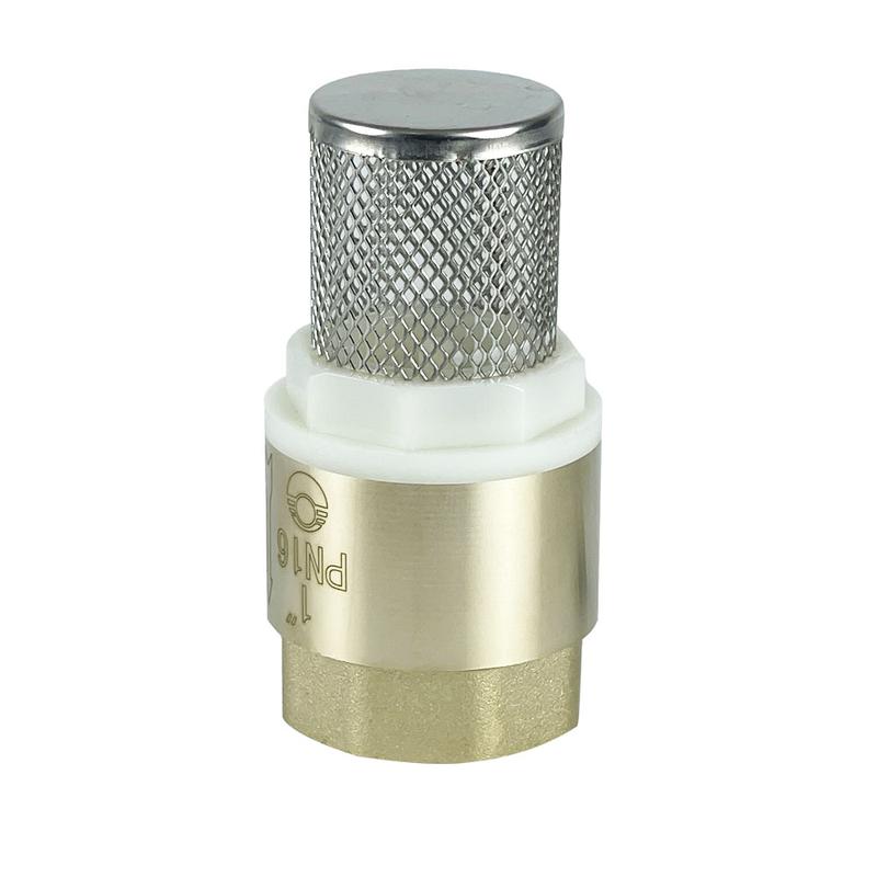 Фото товара Клапан обратный с фильтром 1дюйм (80/10) К VALFEX VF.161.NS.100