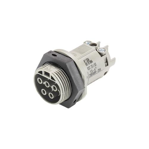 Розеточный разъем в панель RST25i5S6B1 M01V BG03